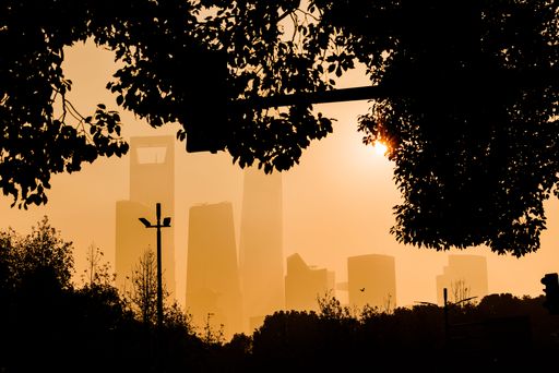 A stunning view of Shanghai skyscrapers by the river during sunrise through trees