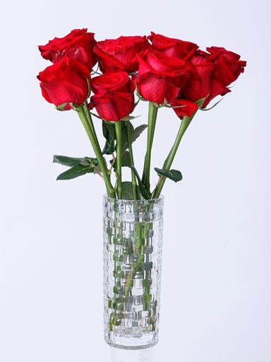 A vertical shot of beautiful red roses in a vase isolated on a white background