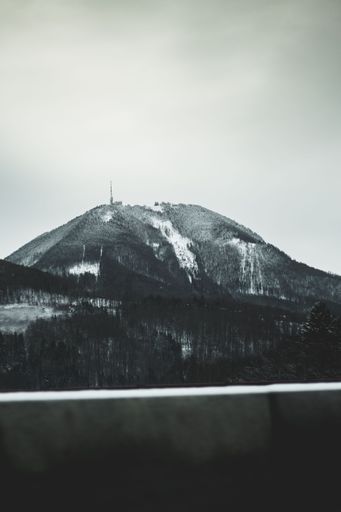 A vertical shot of a mountain covered with leafless trees and snow on a cloudy day in Austria