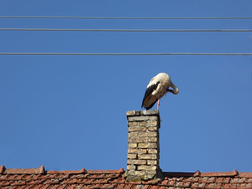 Stork preparing nest on the chimney, blur sky background