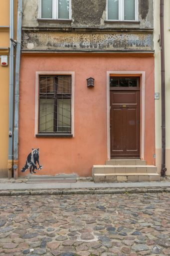 A vertical shot of a raccoon graffiti on an old traditional building in Torun, Poland