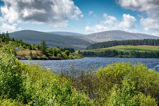 A view of the Clatteringshaws Loch in Scotland on a sunny day
