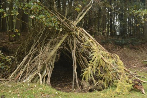 A closeup of a small shelter made from tree branches in the forest