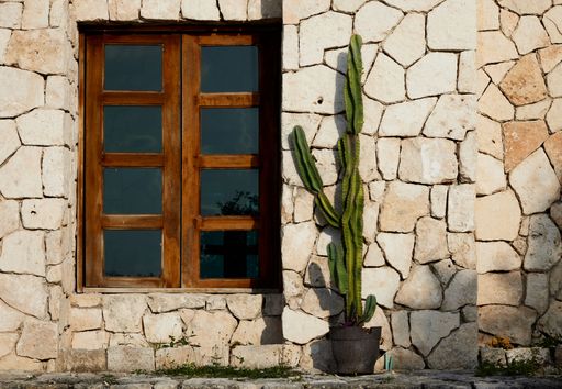 A panoramic view of a potted cactus near the stone wall and brown window Cozumel, Quintana Roo, Mexico