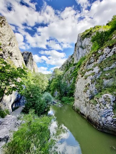 A vertical shot of a river flowing through mountains covered with greenery under a cloudy blue sky