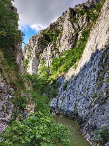 A vertical shot of a river flowing through mountains covered with greenery under a cloudy blue sky