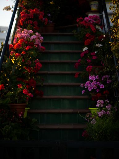 A vertical shot of green stairs with beautiful potted flowers on both sides