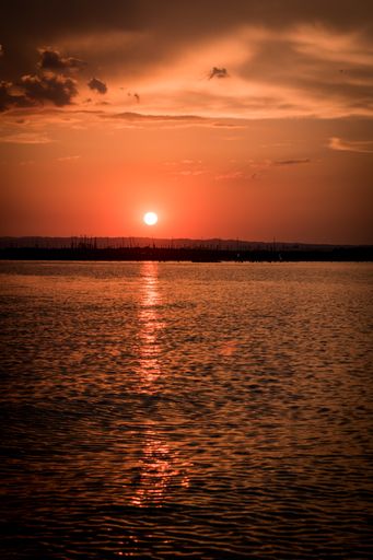 A beautiful vertical shot of a pink sunset over a sea- perfect for mobile wallpaper