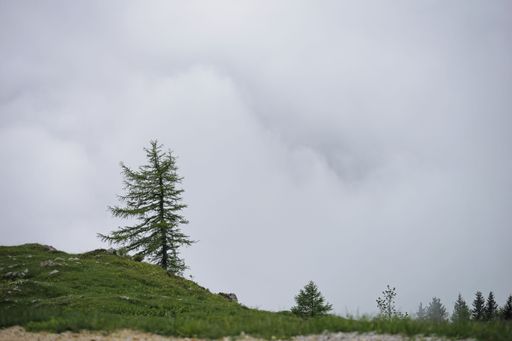 A beautiful view of the forested mountain surrounded by mist in Velika Planina, Slovenia