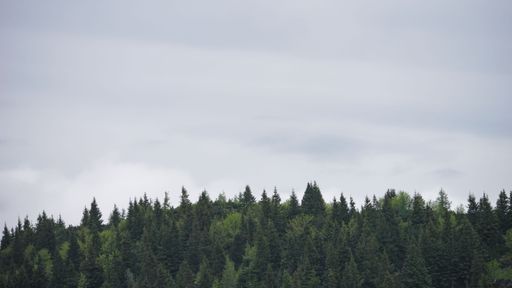 A beautiful view of the forested mountain surrounded by mist in Velika Planina, Slovenia