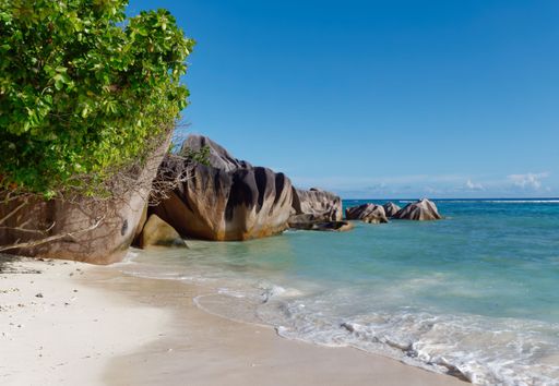 A beautiful view of the coastline with tropical trees in La Digue Island, Seychelles