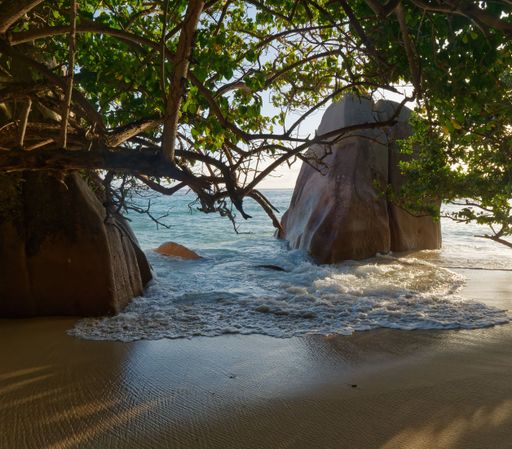 A beautiful view of the coastline with tropical trees in La Digue Island, Seychelles