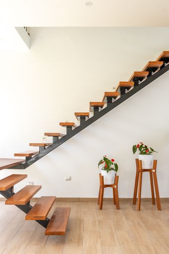A vertical shot of the home interior with wooden stairs and flower pots in a white wall background