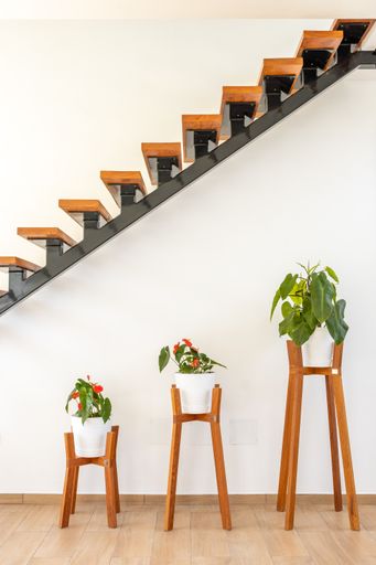 A vertical shot of the home interior with wooden stairs and flower pots in a white wall background