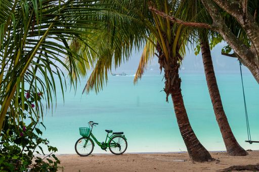 A bicycle on a sunny beach with palm trees on Phi Phi Island in Thailand