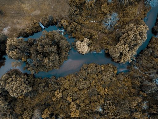 An aerial shot of a river in the middle of brown leafed trees