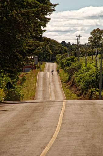 A vertical shot of two bicycle riders riding on a country road in the middle of forests
