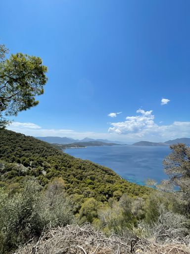 A vertical shot of beautiful trees on green hills by the sea view in Poros island, Greece