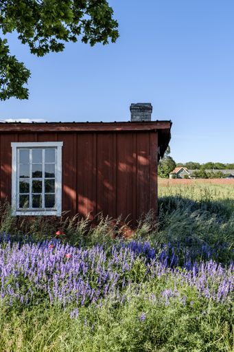 A vertical shot of a cute red cabin in the field of beautiful flowers on a sunny day