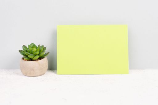 Empty paper with a cactus textured background, brainstorming for new ideas, writing a message, taking a break, home office desk