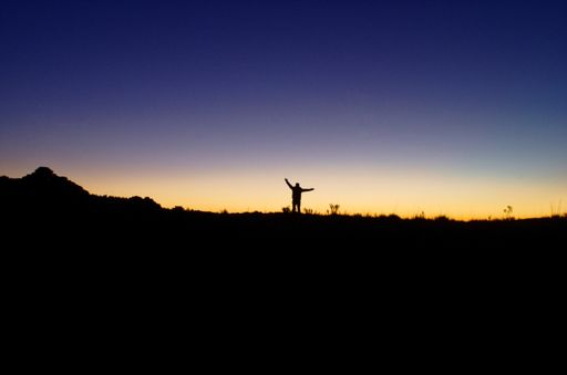 A male standing in a field with a happy pose during sunset