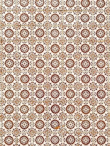 Azulejo. The traditional tiles used to decorate walls and floors in Portugal
