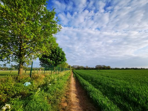 Beautiful view of narrow rural road between trees and fresh green agricultural fields in countryside of England under blue cloudy sky