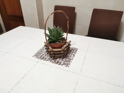 A vertical shot of Haworthia Aloe Hybrid pot on a dining table