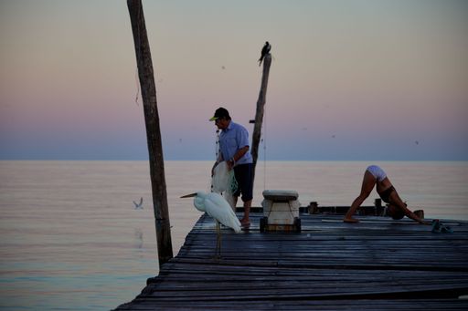 A man playing with birds and a yuga female on a pier in Holbox, Mexico at sunset