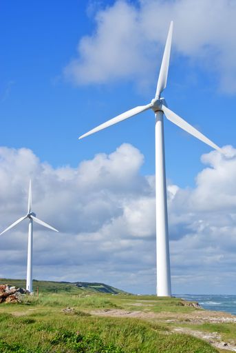 A vertical shot of windmill turbines standing  near a shore in a sunny day against blue sky with white clouds