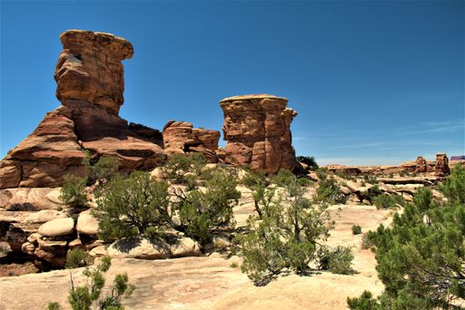 The red rocks in Utah desert under sunlight with greenery and sand around
