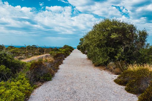 A road surrounded by greenery with the sea under a blue cloudy sky on the background