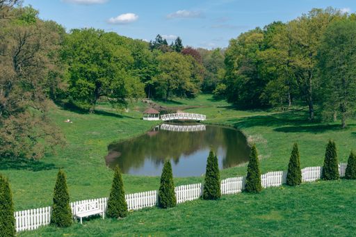 landscape with lake and trees where people are having a nice picnic in sunlight
