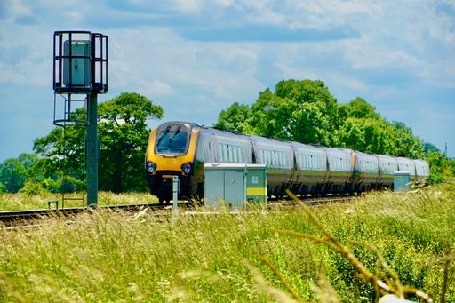 A train going through green, summer fields