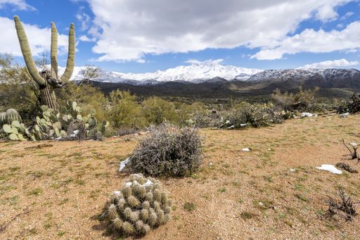 The last of the snow is melting on the desert plants but the mountains in the distance are covered with snow