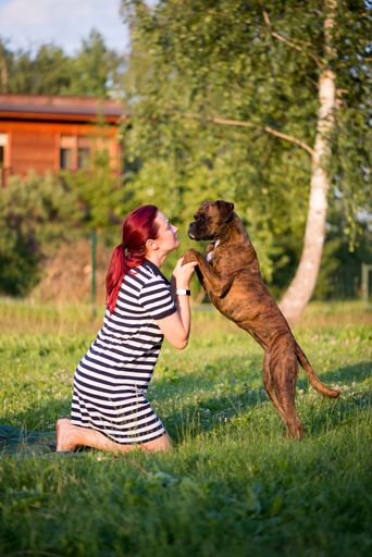 A woman with red hair playing with her cute boxer in a sunny green park - Dog and owner bonding