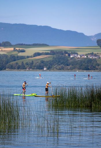 A vertical of people standup paddleboarding on the lake of Murten, Switzerland