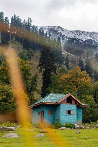 A vertical shot of an old house in grassland with trees and the Himalayan mountains in the background