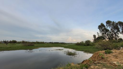 A beautiful view of a lake in a forest under the blue cloudy sky
