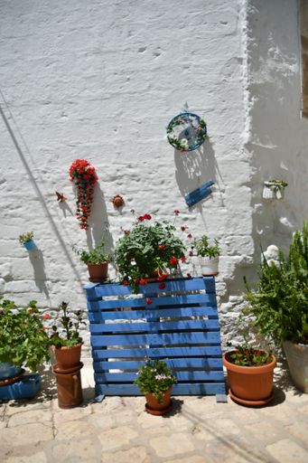A vertical shot of simple decor and greenery against white old wall In a street of Casamassima village in Puglia region, Italy