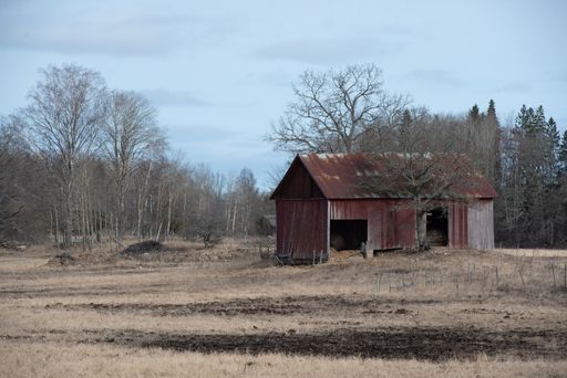 A landscape with an old abandoned metal farmhouse with trees in the background