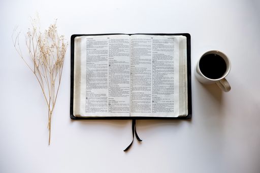 An overhead shot of an open book in the middle of a coffee and a dry grass on a white surface