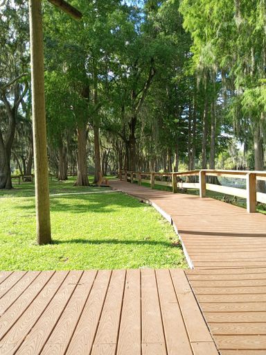 A wooden pathway surrounded by high green trees in the park on a sunny day