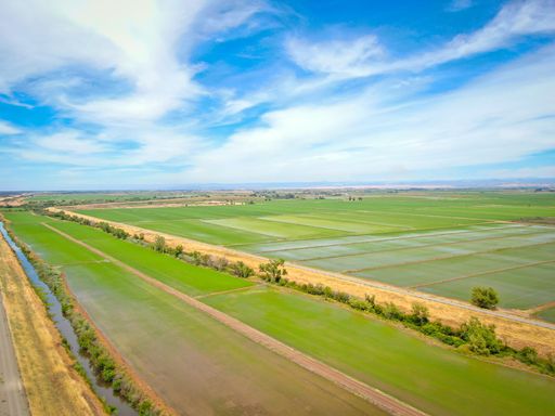 An aerial view of rice fields in Northern CA