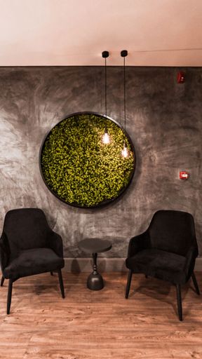 A vertical shot of a decorative green plant frame near black sofa chairs in a modern room