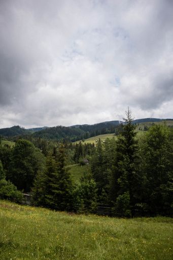 A vertical shot of landscape with trees and foggy mountains in the background