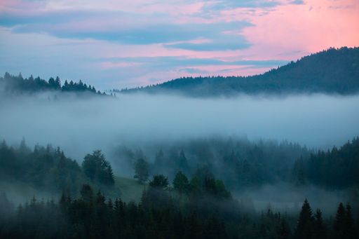 Fog over the trees in the mountains at dusk, twilight, haze