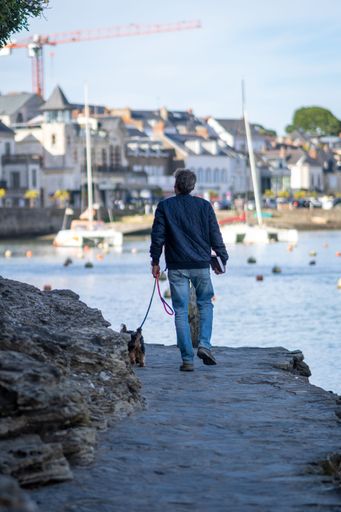 A vertical shot of a man walking with his dog in the Port of Pornic, Britanny