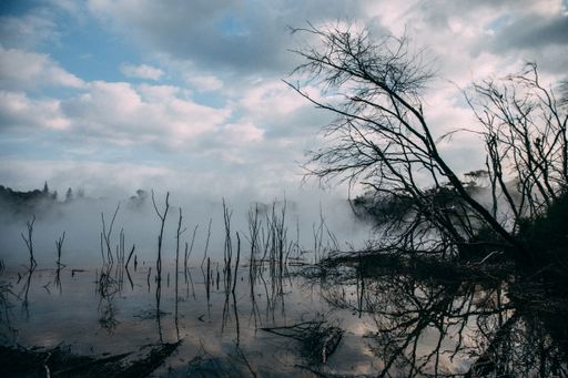 A beautiful shot of a swamp under a cloudy blue sky