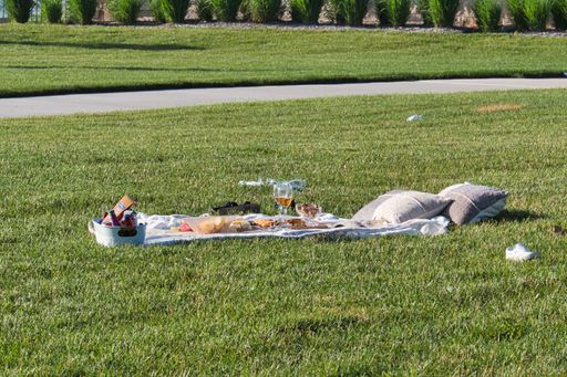 A Romantic Picnic Idea  at Olathe Lake in Olathe Kansas